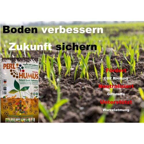 Perlhumus granuliert BB
