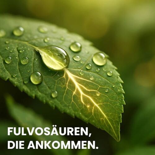Pflanzen-Hilfsstoffe